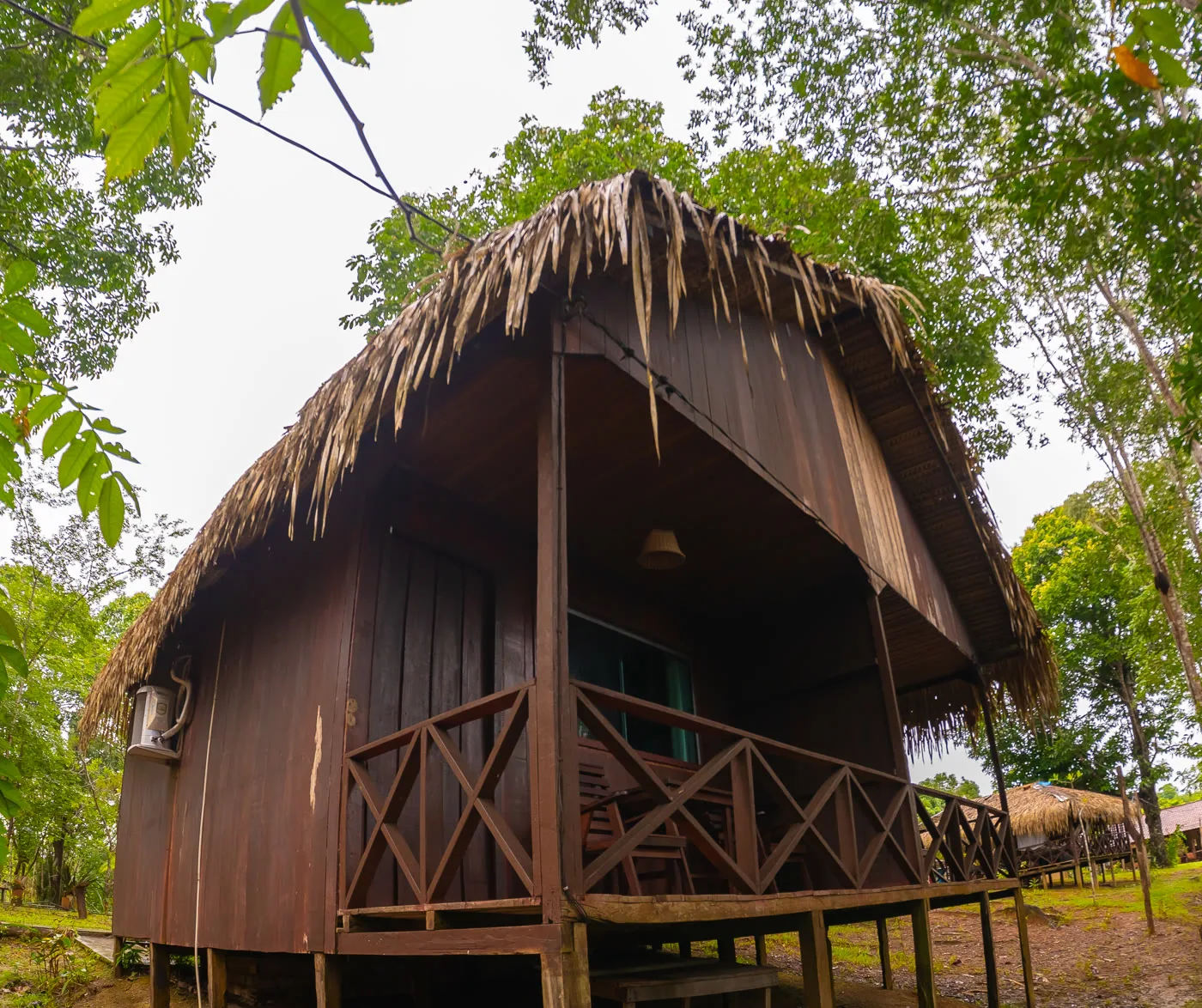 Rainforest lodge bungalow on stilts above the forest floor at dawn
