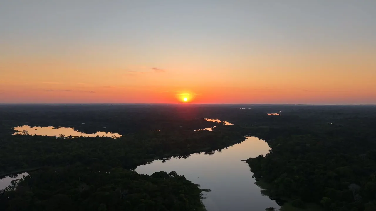 Aerial view of the Amazon rainforest and a black-water river at golden hour
