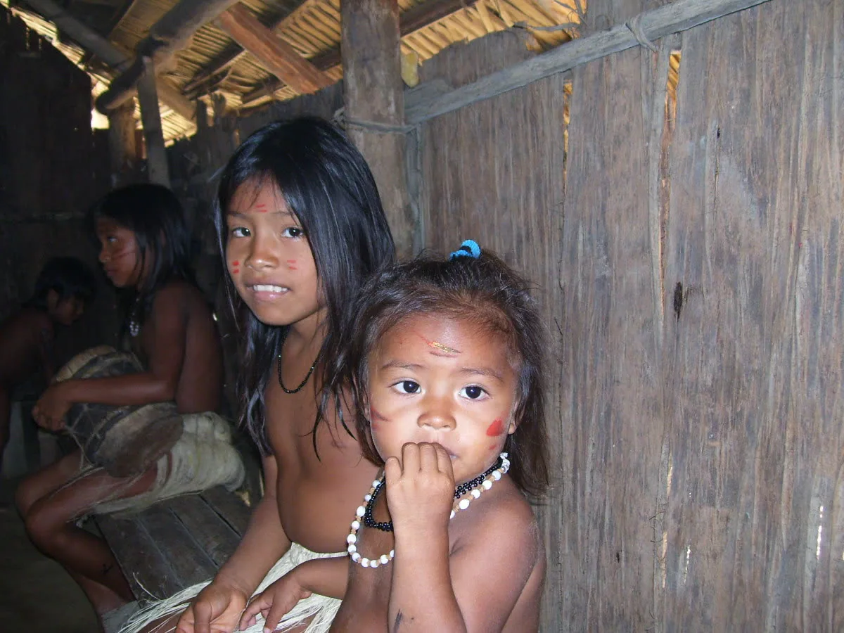 Riverside caboclo community with wooden stilt houses