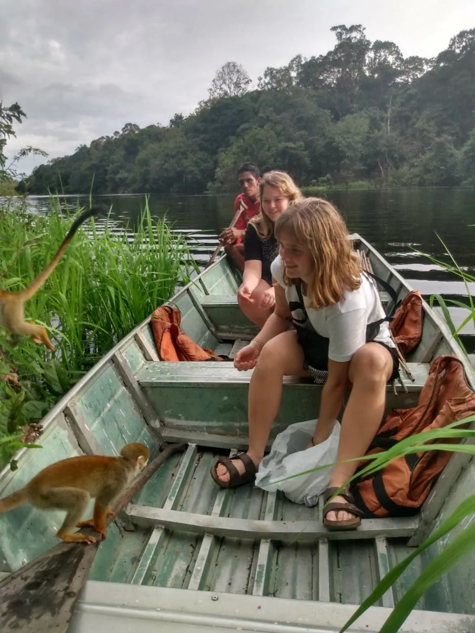 Canoe excursion into a narrow black-water channel