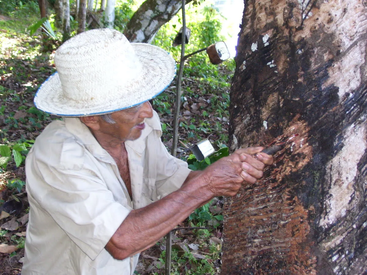 Guide demonstrating a shelter-building technique