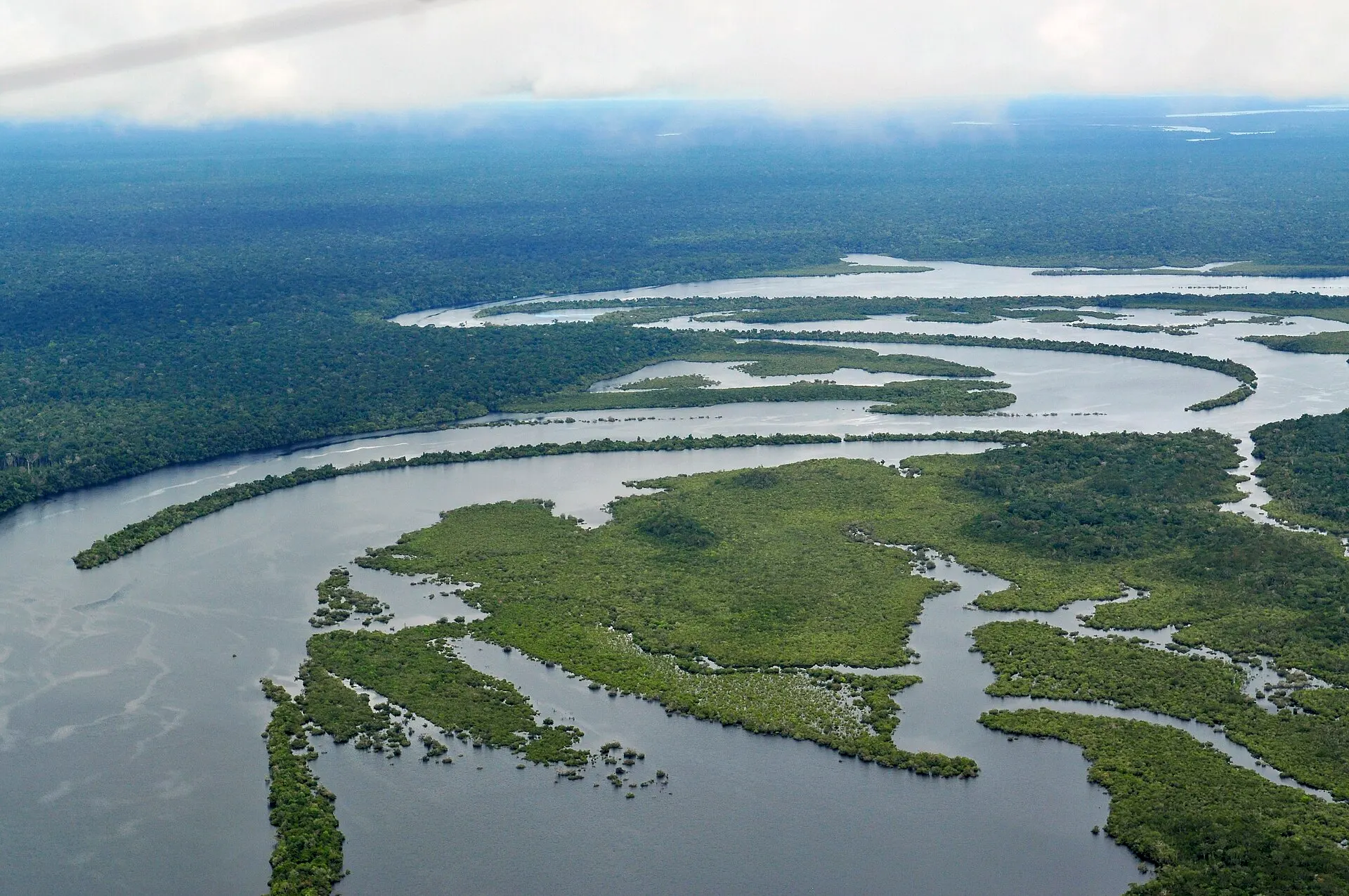 Lush Amazon rainforest stretching to the horizon