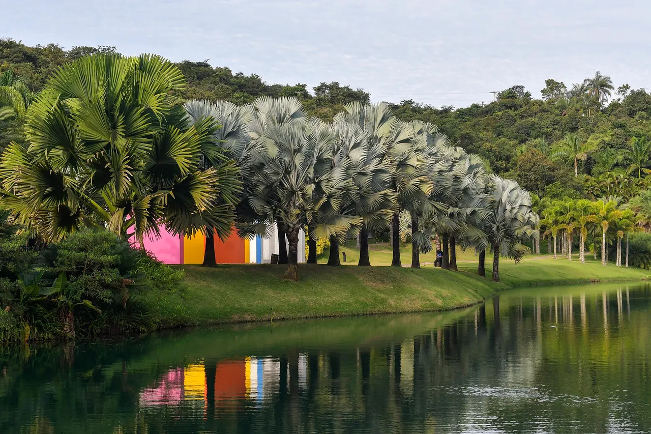 An open-air art installation in the botanical garden of Inhotim
