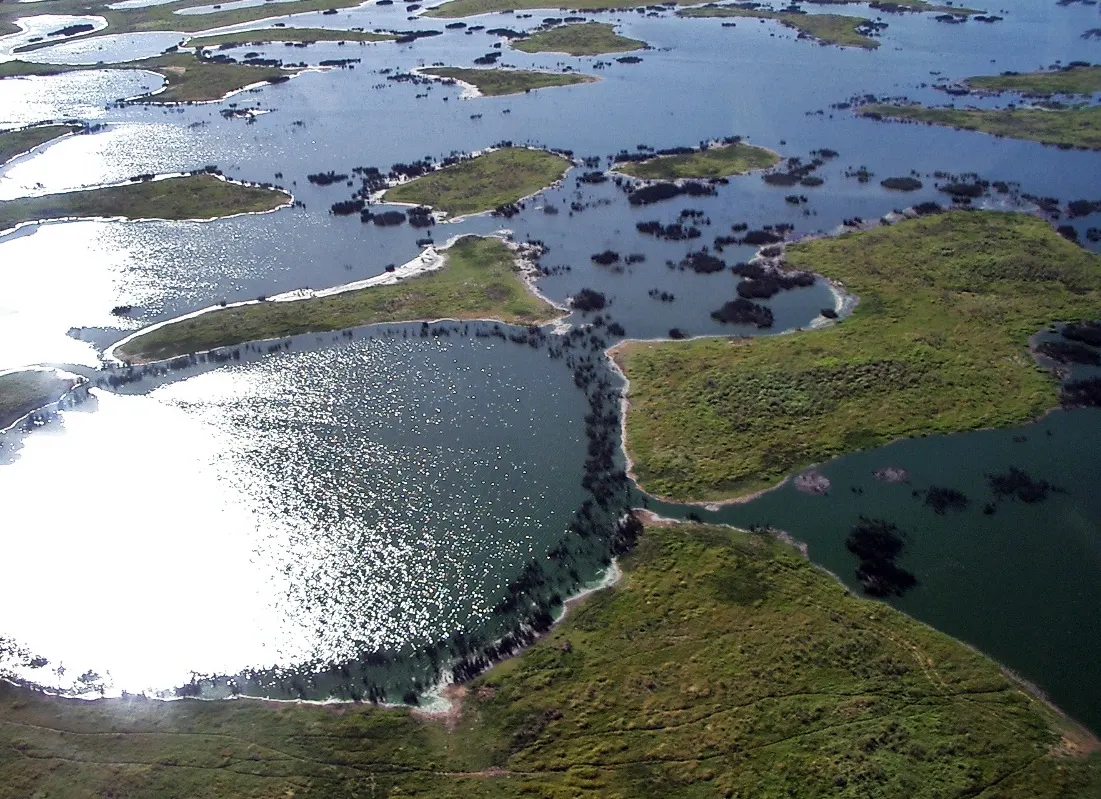 Wetland landscape of the Brazilian Pantanal