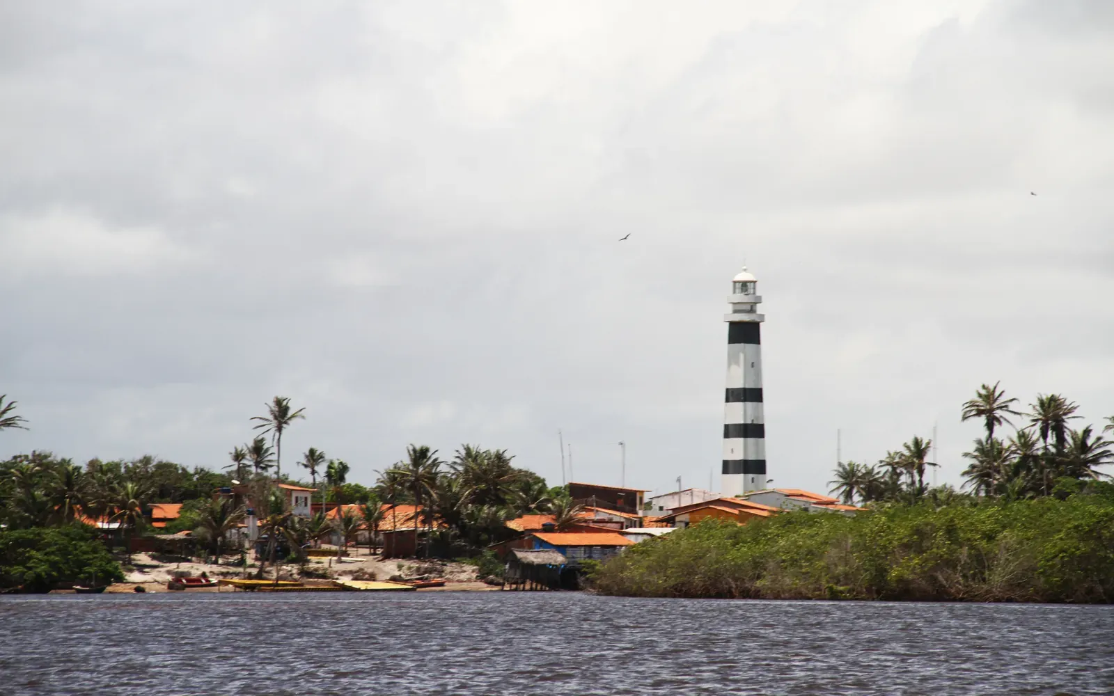 The striped Mandacaru lighthouse rising over the palms and rooftops of the village, seen from the river