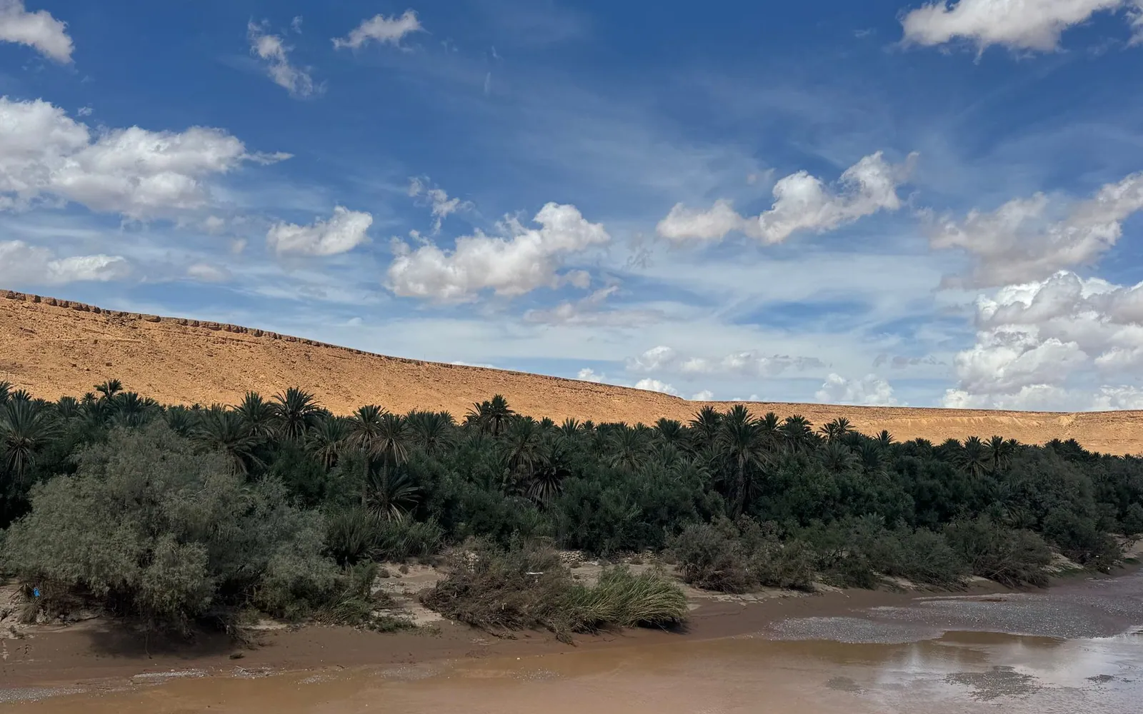 Palm trees and simple houses of the Queimada dos Britos oasis surrounded by white dunes