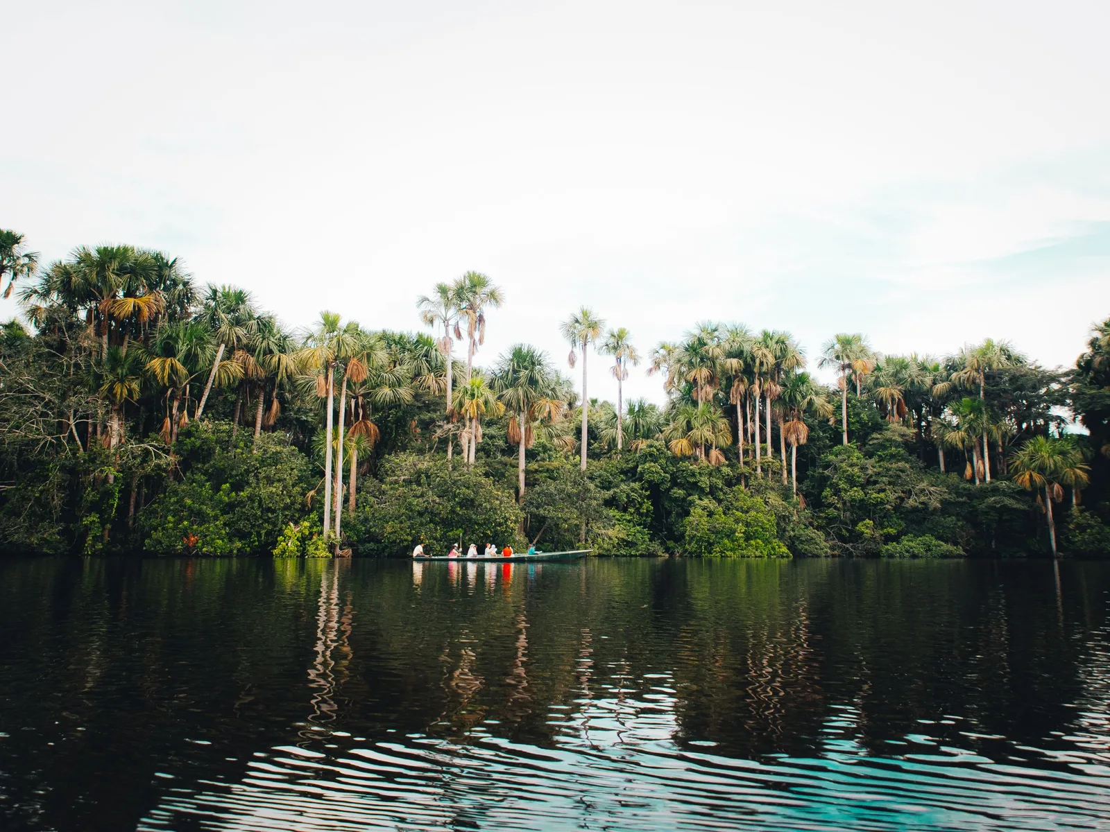 A still river lined with palms, a small boat far off near the far bank