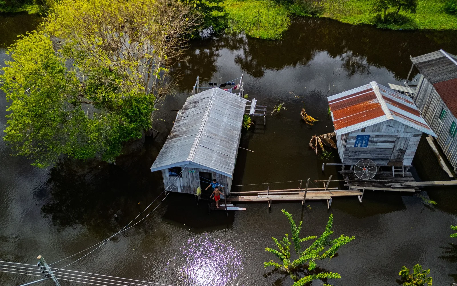 Simple houses standing in floodwater among palms, seen from above