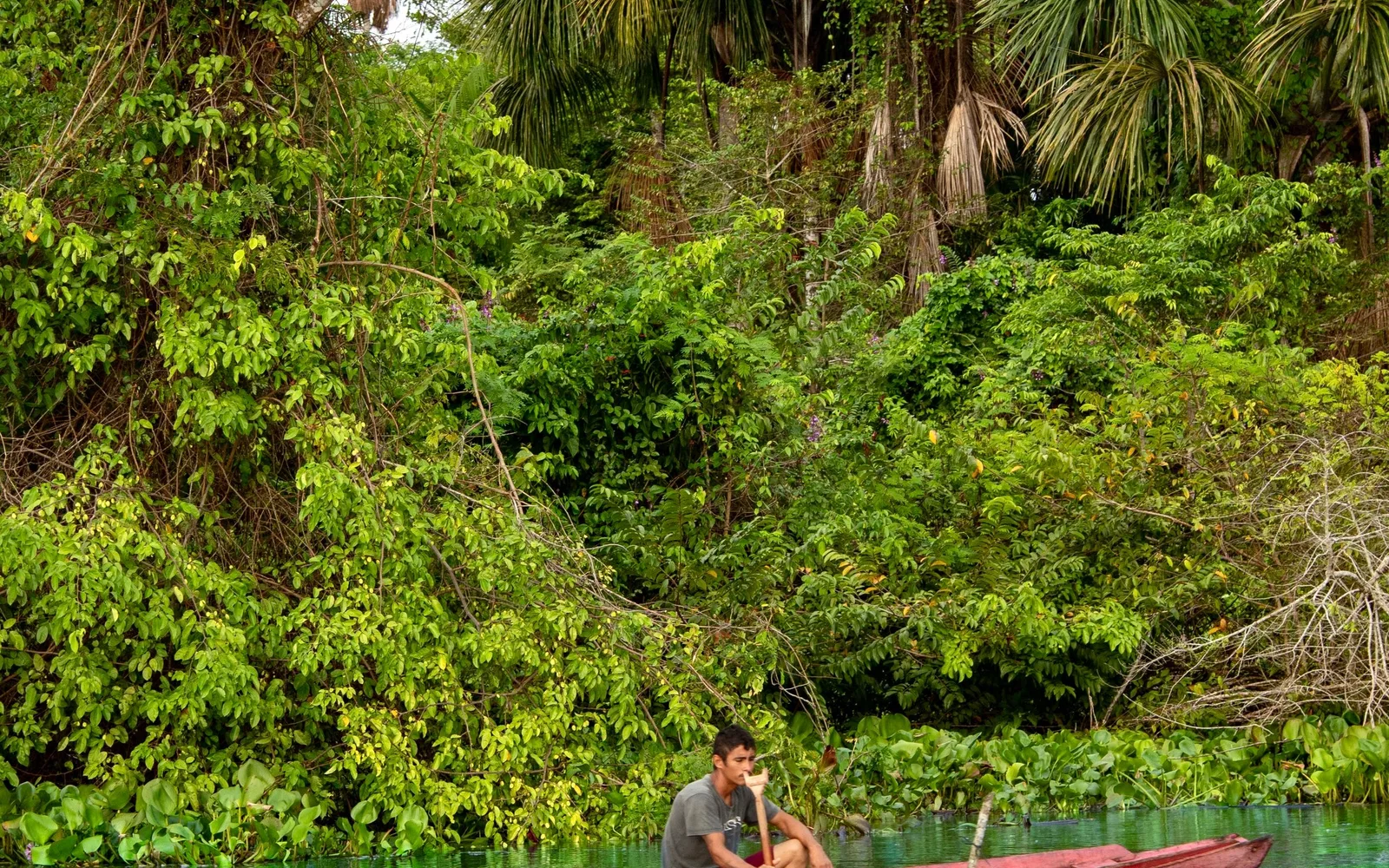 Two people in a small boat on a narrow green channel walled by dense vegetation