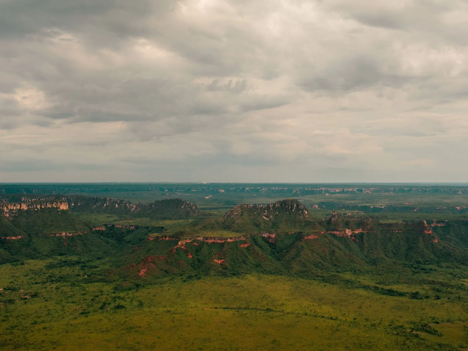 A wide view from high ground over green plain running to a distant horizon