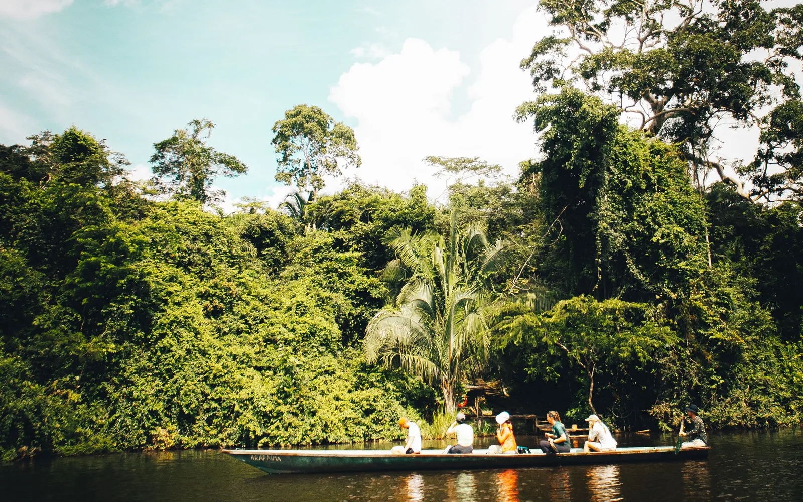 A long open boat carrying passengers along a jungle riverbank