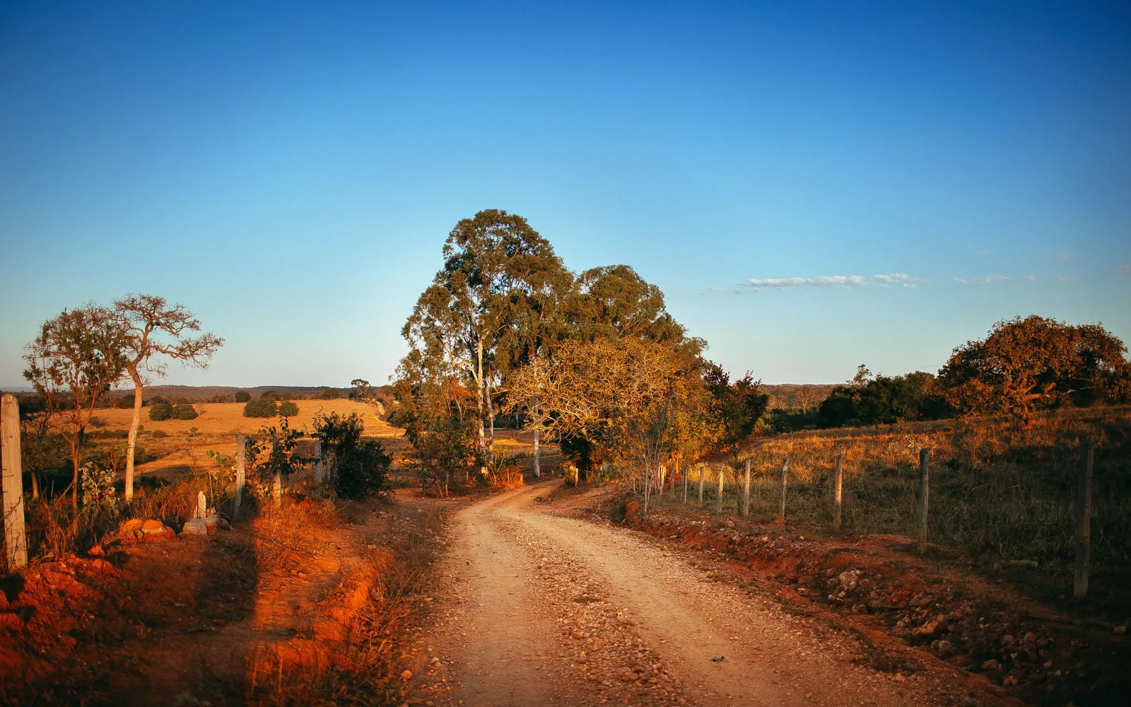 A red dirt road running out across open country in low evening light