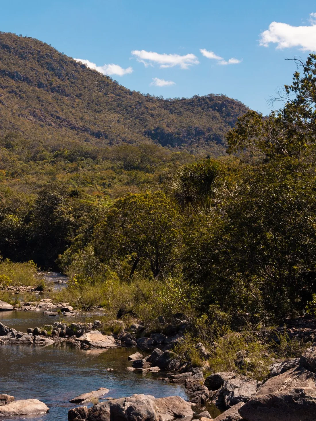 A forested hill rising steeply above a shallow rocky river