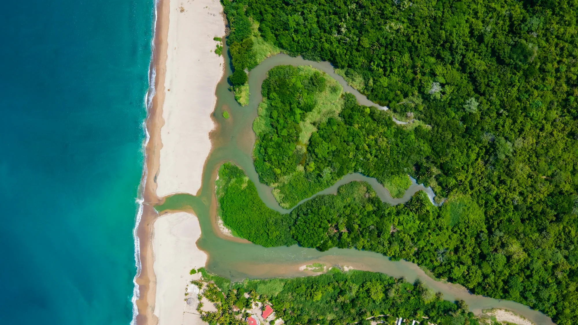 A river winding through green forest to meet the sea, seen from above