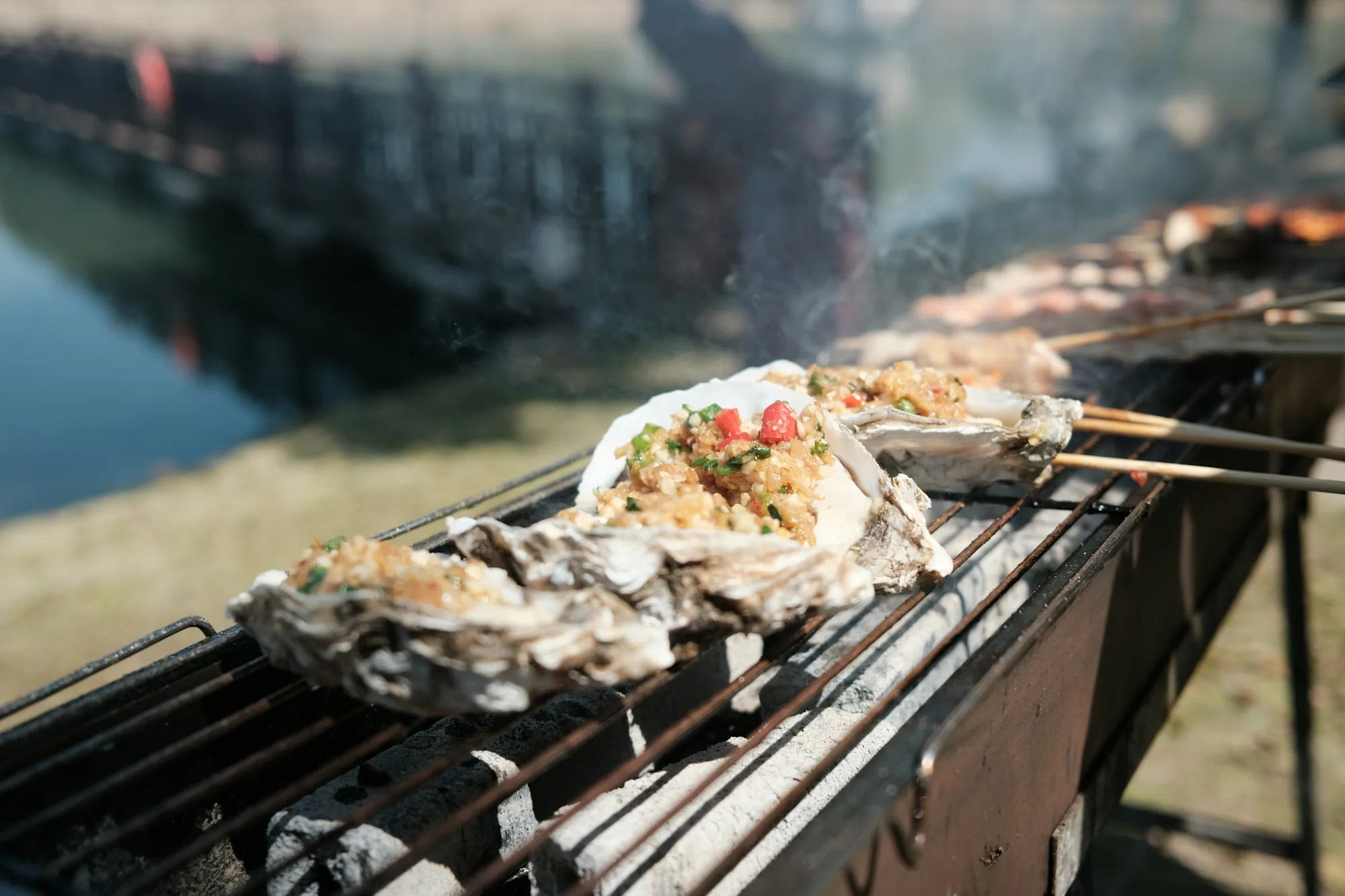 Fresh oysters roasting in their shells over an open fire