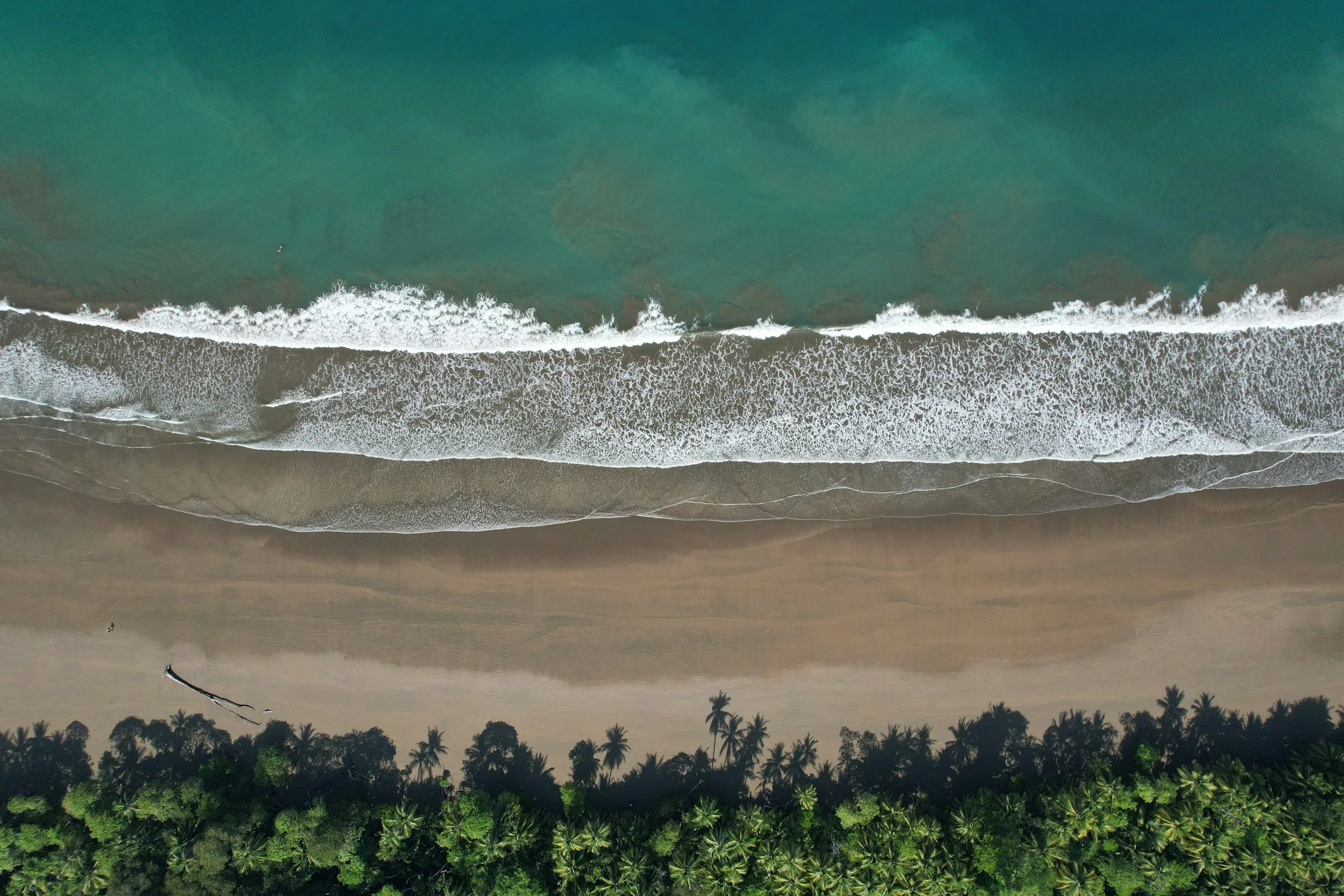 An empty, palm-backed beach stretching to the horizon