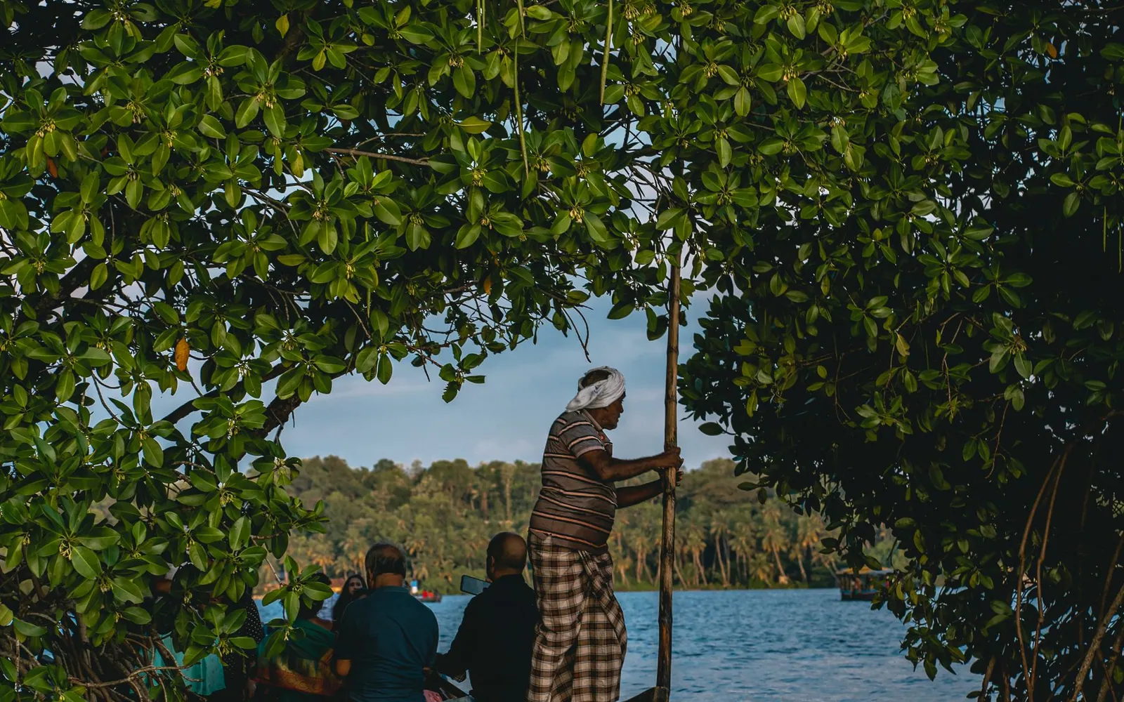 A small boat threading a narrow green channel beneath overhanging mangroves