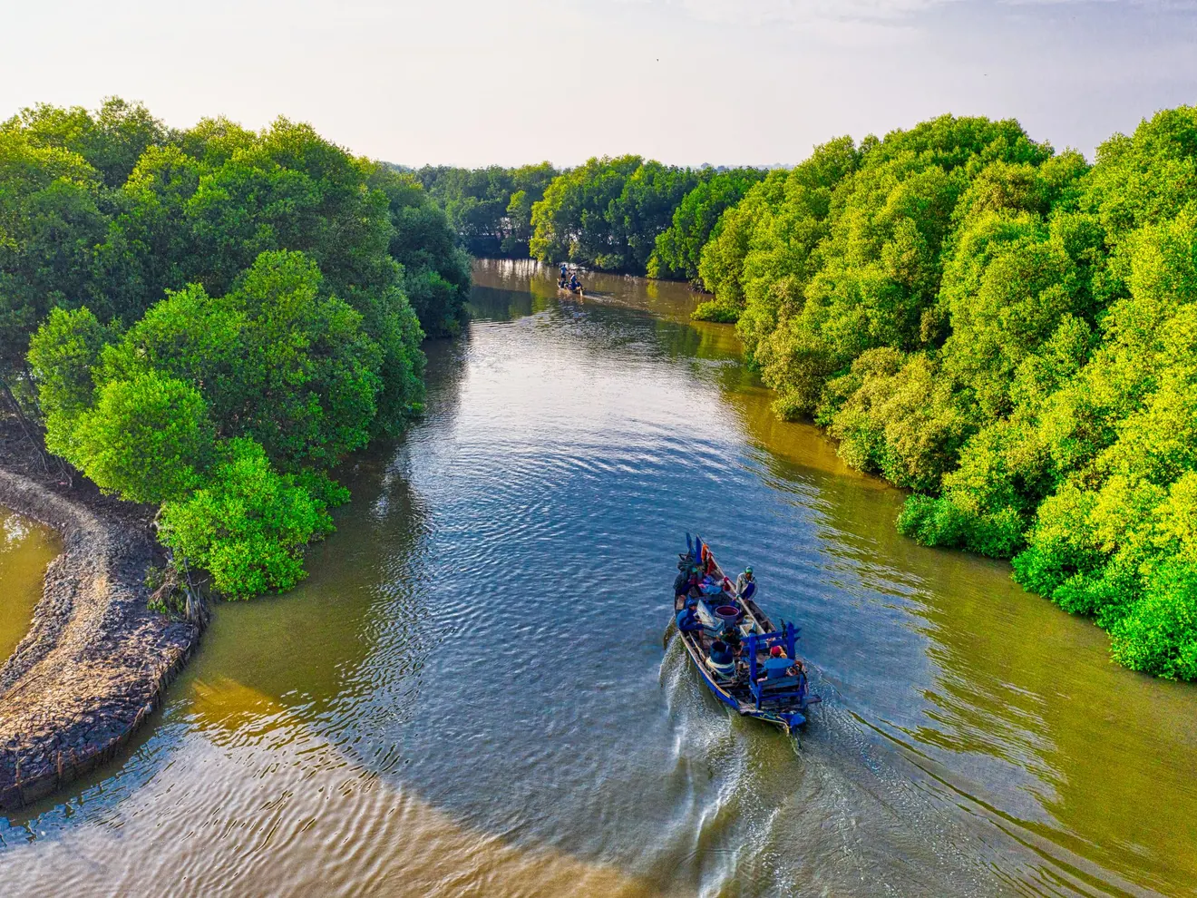 A small boat cutting a green river channel walled by dense mangrove
