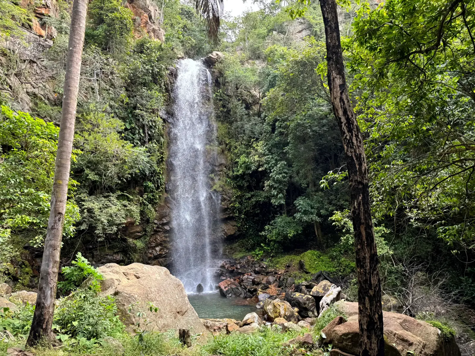 A forest waterfall dropping into a clear pool in the Serra das Araras
