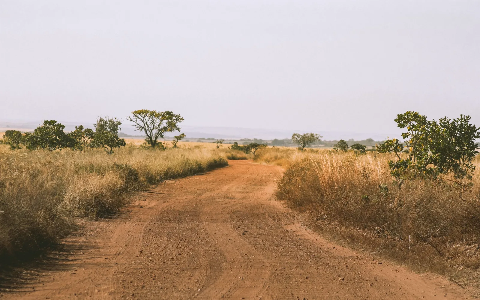 An empty red dirt road running straight out toward a low, wide horizon