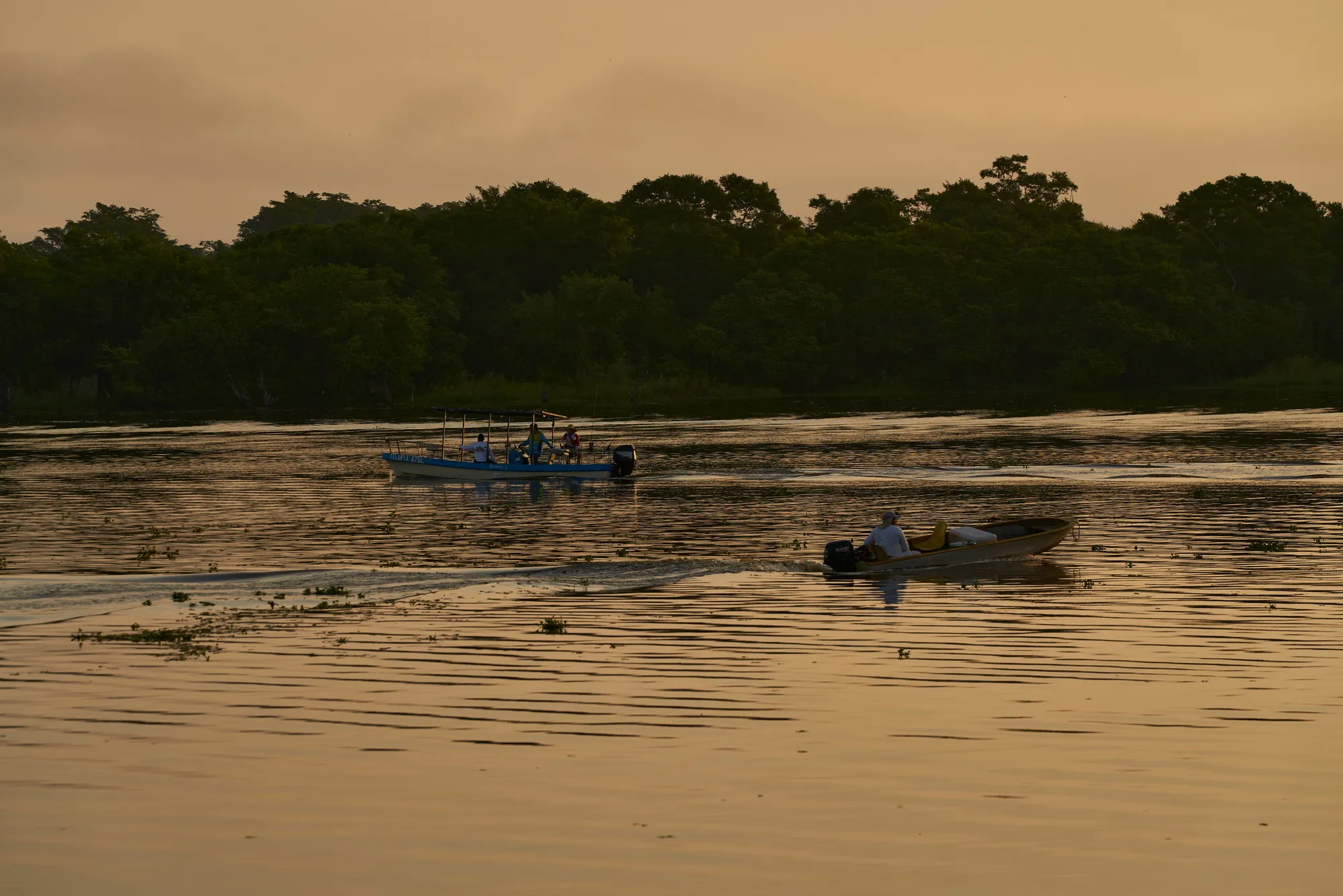Two small boats crossing a golden Pantanal river at dusk before a dark forest