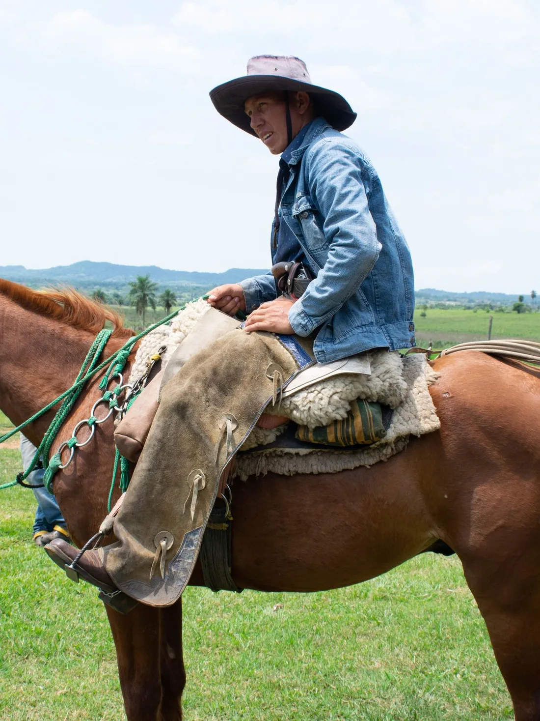 A rider in a wide-brimmed hat on horseback in open green pasture