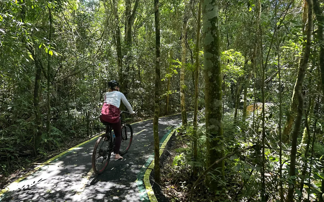 A cyclist riding a paved forest road through dense rainforest in the Iguaçu National Park