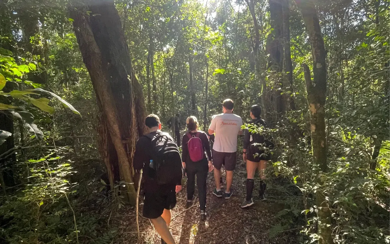 Hikers on a sunlit forest trail through tall Atlantic rainforest near the Iguaçu Falls