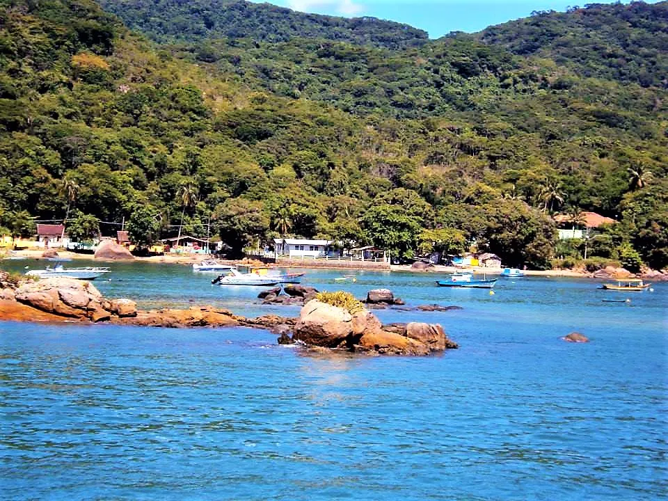 Atlantic rainforest tumbling down green hillsides straight into the sea on Ilha Grande
