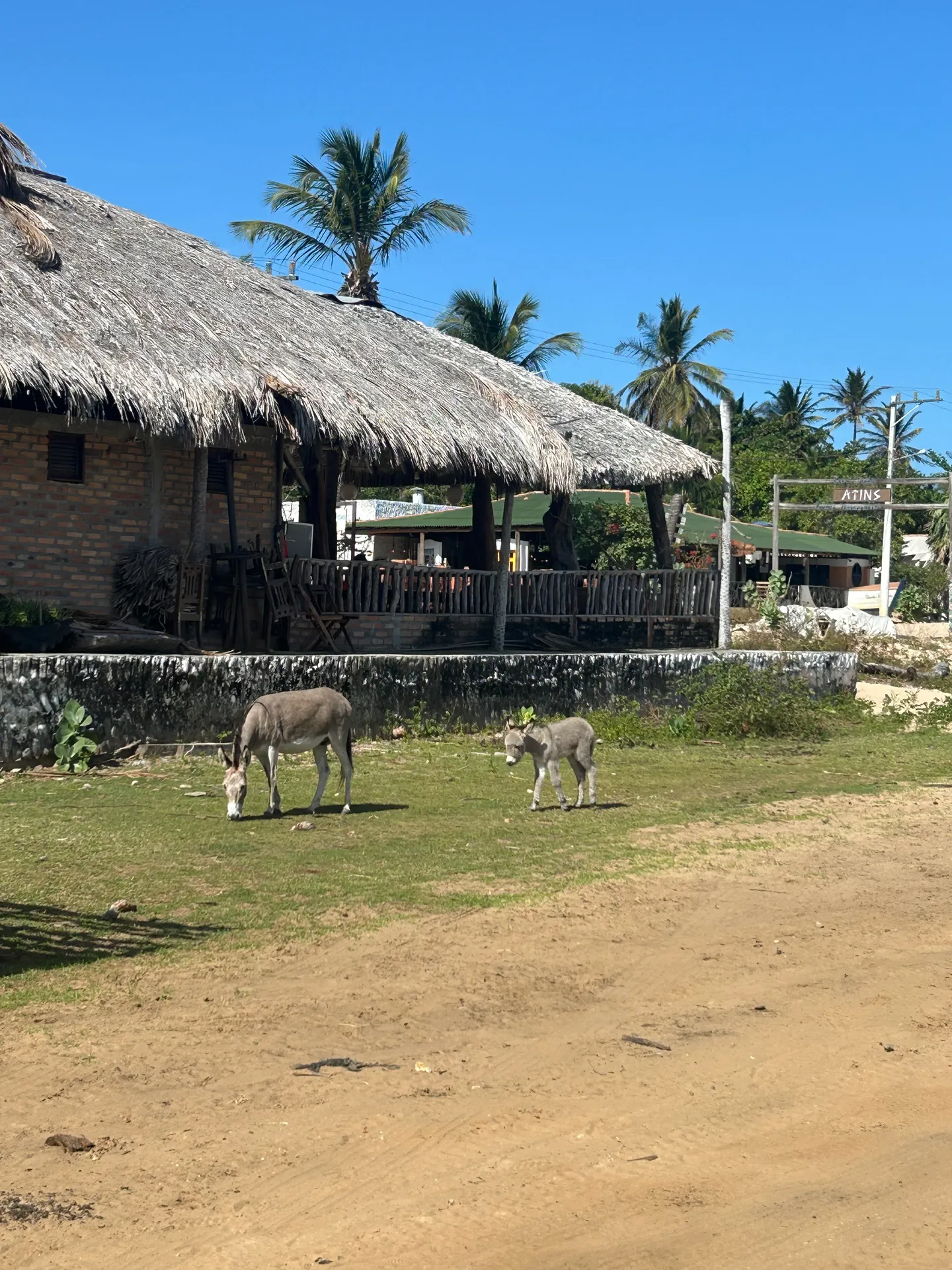 The laid-back beach village of Atins where the dunes meet the sea