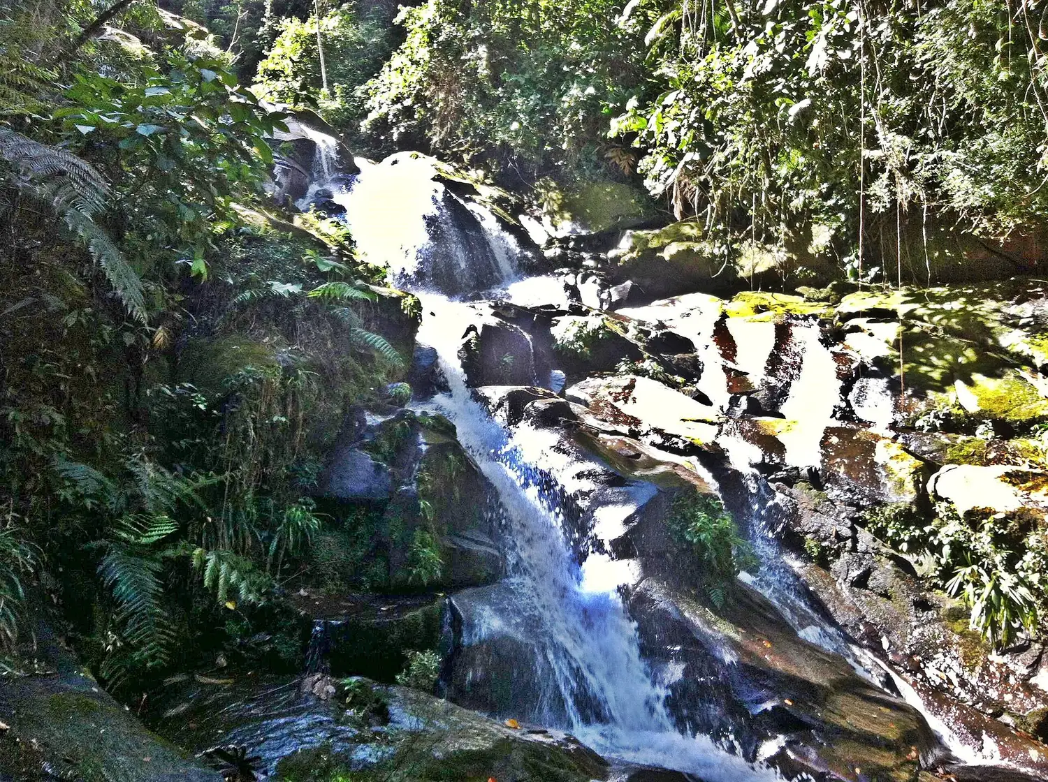 A clear forest waterfall tumbling over rocks into a natural swimming pool near Paraty